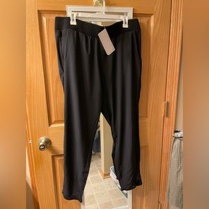 Fabletics Kristen Jogger size XXL NWT
